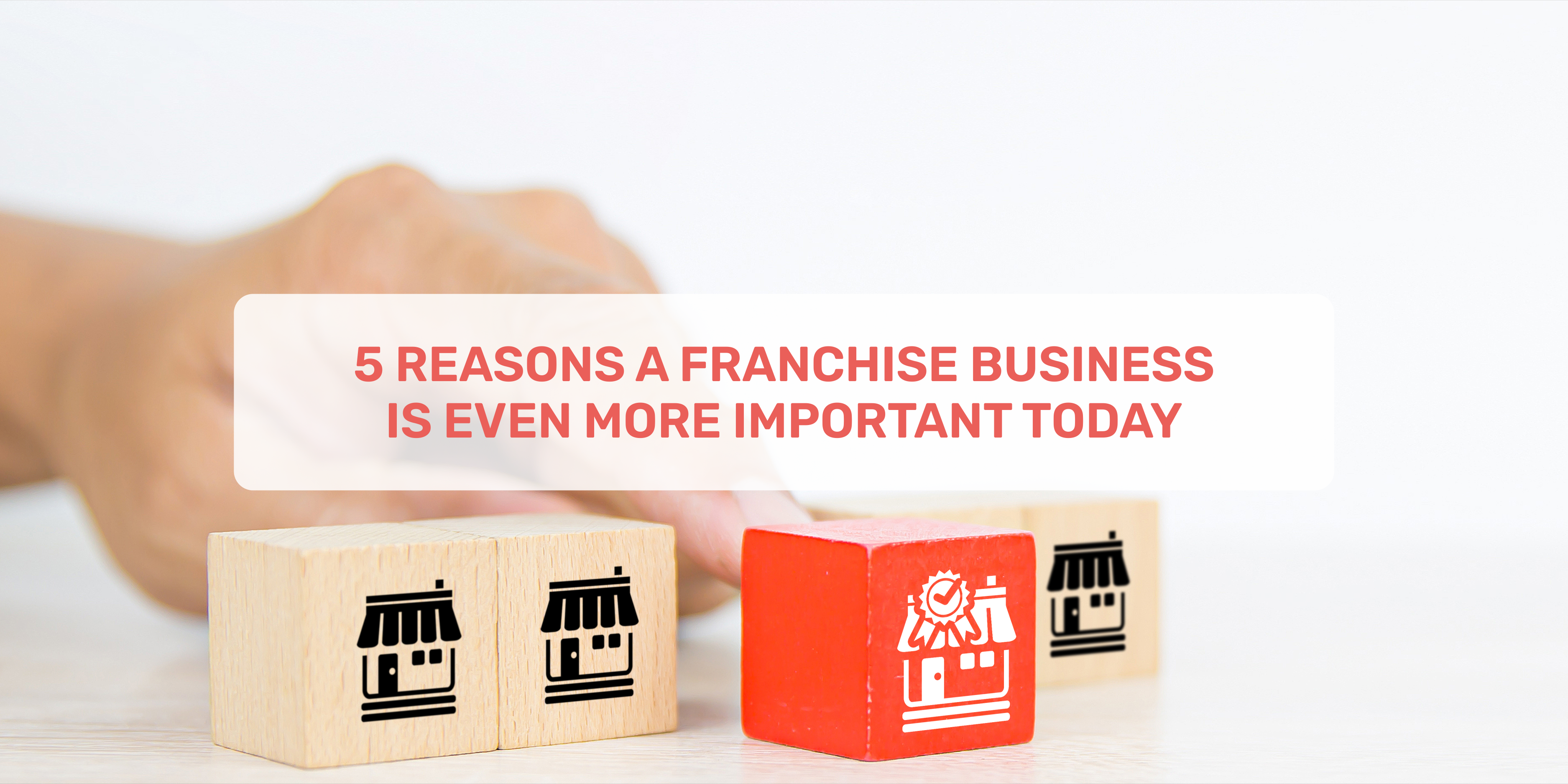 franchise, franchise opportunities,franchise business 