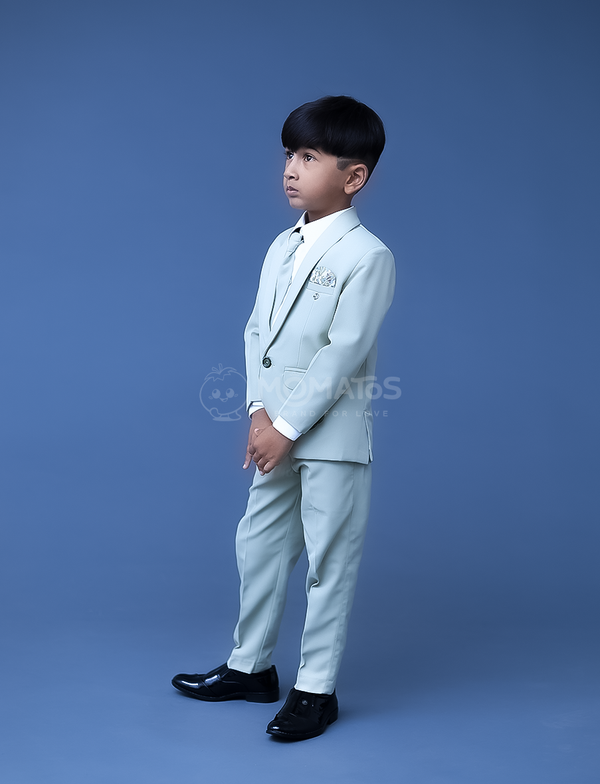 Suit for boy , grey suit dress
