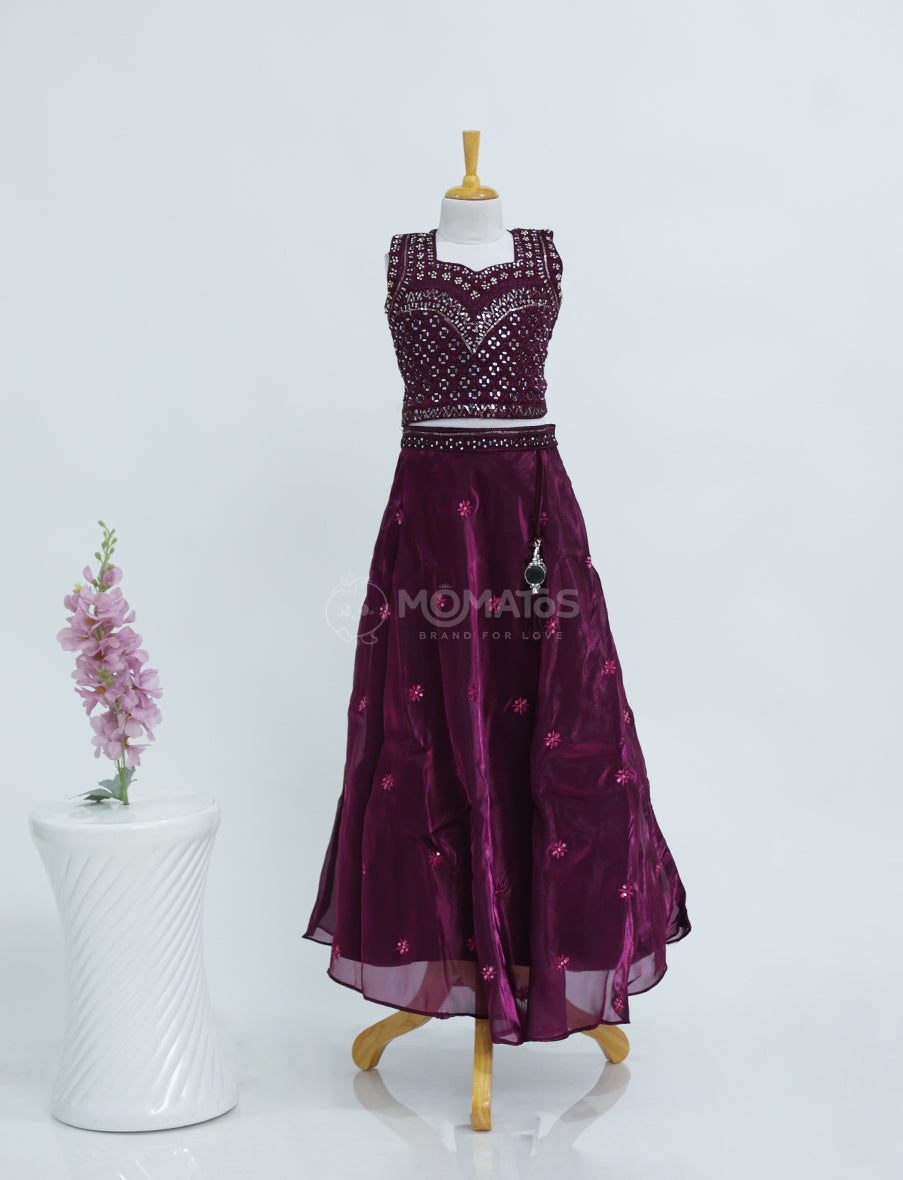 Elegant Wine Kids Choli Set Main image