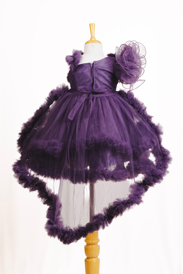 Deep Purple Embroidered High-Low Ruffle Tulle Frock