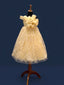 Girls Light Yellow One-Shoulder Lace Party Gown