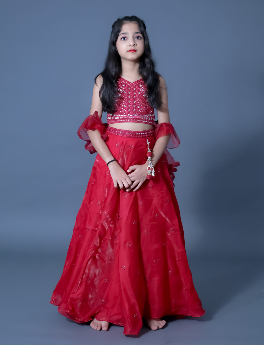 rani choli, rani lehenga choli